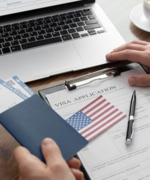work-visa-immigration-consultants